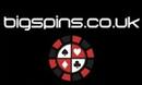 Big Spins DE logo