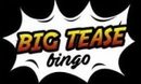 Bigtease Bingo DE logo