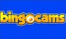 Bingo Cams DE logo