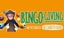 Bingo Giving DE logo