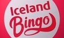 Bingo Iceland DE logo