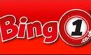 Bingo 1 DE logo