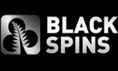 Black Spins DE logo