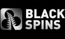 Black Spinsschwester seiten