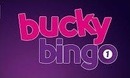 Bucky Bingo DE logo