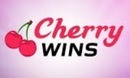 Cherrywins DE logo