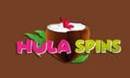 Hula Spins DE logo