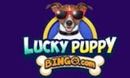 Luckypuppy Bingo DE logo