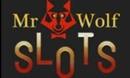 Mr Wolf Slots DE logo