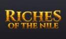 Nileriches DE logo