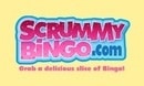 Scrummy Bingo DE logo