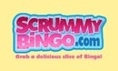 Scrummy Bingo DE logo