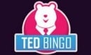 Ted Bingo DE logo