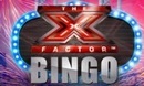 Xfactor Bingoschwester seiten