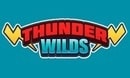 Thunderwilds DE logo