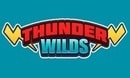 Thunderwilds DE logo