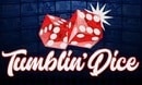 Tumblindice DE logo