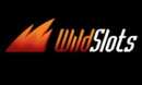 Wild Slots DE logo