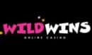 Wildwins DE logo
