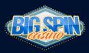 Big Spin Casino DE logo