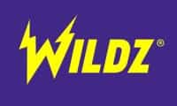 wildz logo