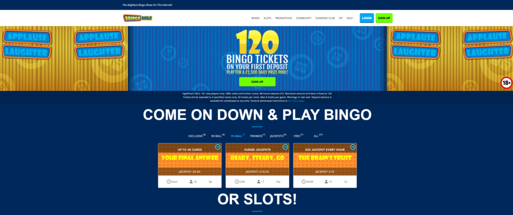 bringo bingo casino
