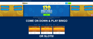 bringo bingo casino