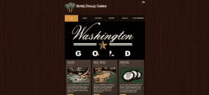 silver dollar casinos screenshot