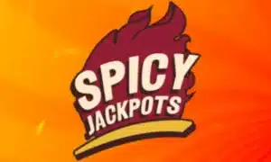 spicy spins logo 2024 de