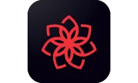 CasinoChan Casino Logo