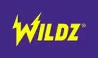 Wildz Logo